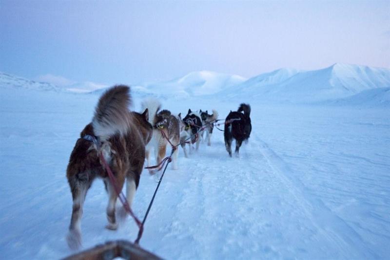 Funken Lodge Longyearbyen Zewnętrze zdjęcie